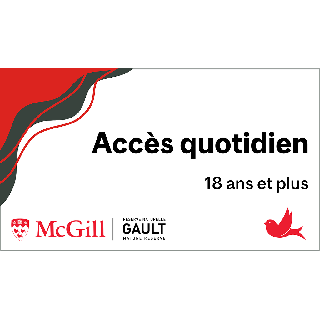 Accès quotidien - Adulte 18+