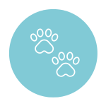 Wildlife Tracks and Traces (in French)