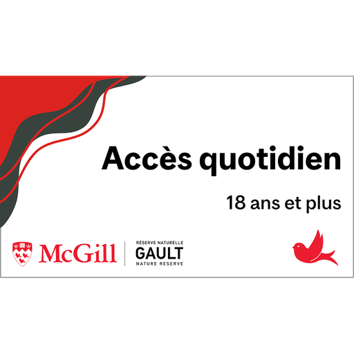 Accès quotidien - Adulte 18+
