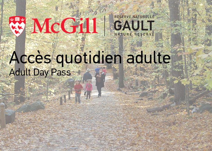 Day Pass - Adult 18+